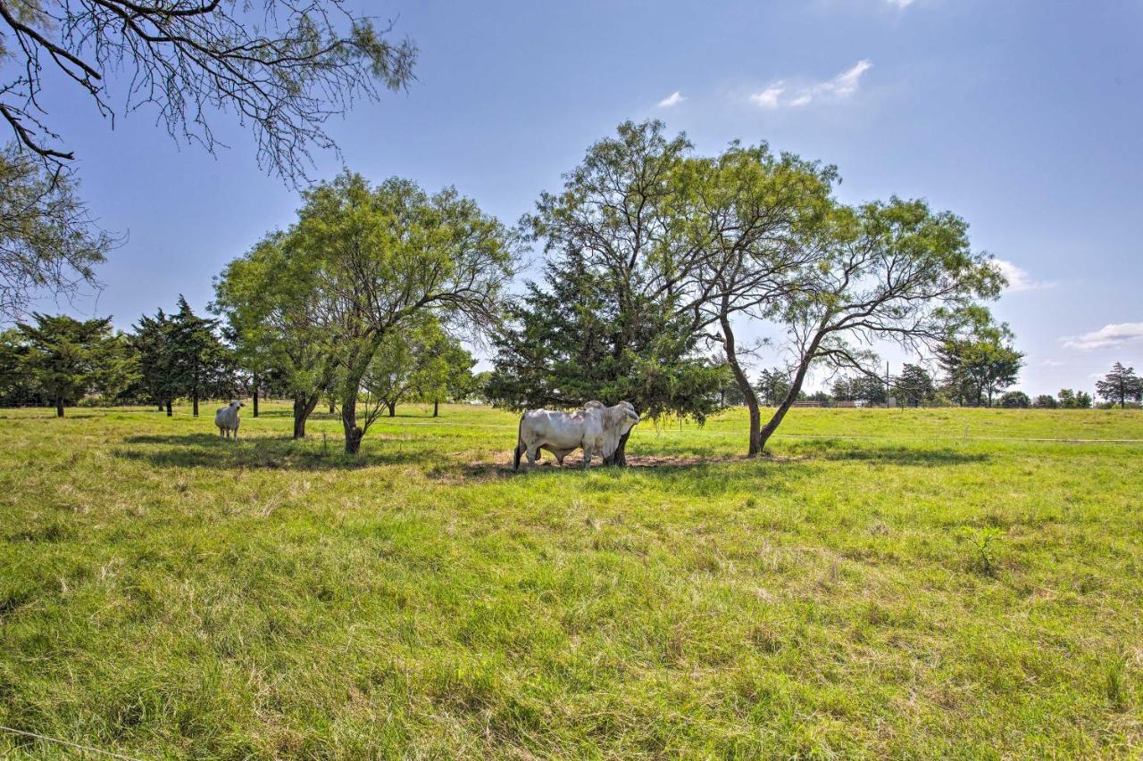 Texas Cabin On 130 Acres Walk To Lake Ray Roberts Collinsville Exterior photo